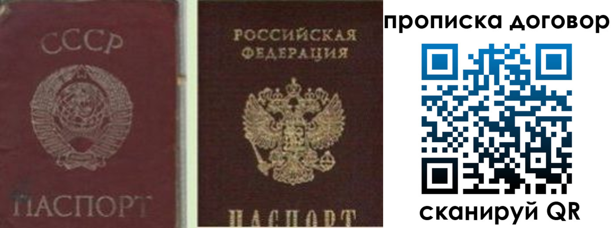 прописка гарантия в Бокситогорске